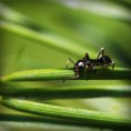 /album/douceur-de-reiki/photolia-a05-jpg/