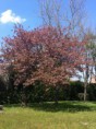 /album/douceur-de-reiki/img-0024-jpg/