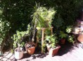 /album/douceur-de-reiki/img-0163-jpg/